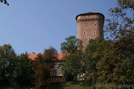 Wawel (20060914 0254)